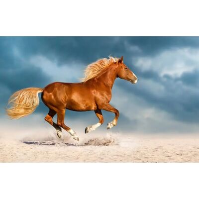 PAPERMOON Pferd Bunt Wandbild - Tapete PAPERMOON Pferd Bunt Wandbild - Tapete