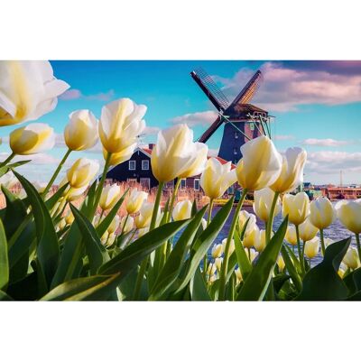 PAPERMOON Landschaft mit Bergen Fototapete - Tapete PAPERMOON Landschaft mit Bergen Fototapete - Tapete
