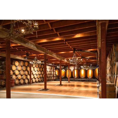 PAPERMOON Napa Valley Wein Fototapete - Hochwertige Vlies Tapete PAPERMOON Napa Valley Wein Fototapete - Hochwertige Vlies Tapete
