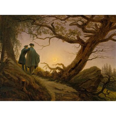 PAPERMOON Vintage Wald Tapete - 3,50m x 2,60m - Bunt PAPERMOON Vintage Wald Tapete - 3,50m x 2,60m - Bunt