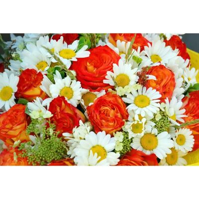 PAPERMOON Bunte Blumen & Pflanzen Fototapete - Wandbild PAPERMOON Bunte Blumen & Pflanzen Fototapete - Wandbild