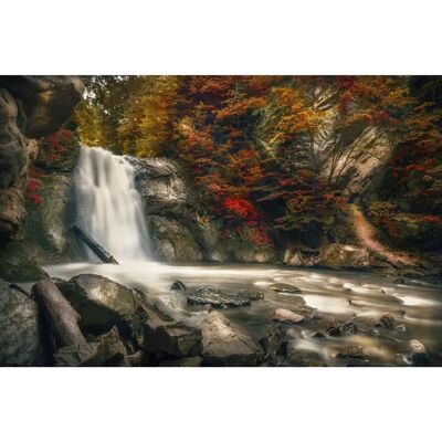 PAPERMOON Wasserfall Herbst Wald Meer Fluss Insel Steine Bäume Tapete - Wandbild PAPERMOON Wasserfall Herbst Wald Meer Fluss Insel Steine Bäume Tapete - Wandbild