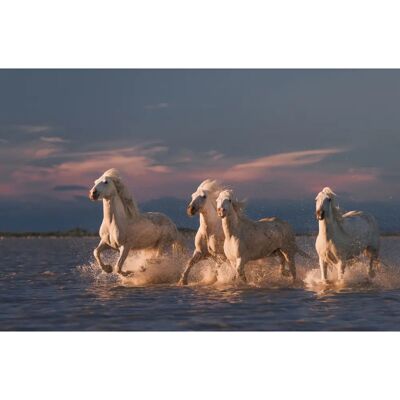PAPERMOON ROSTOVSKIY ANTON, ANGELS VON CAMARGUE Tapete - Tapeten PAPERMOON ROSTOVSKIY ANTON, ANGELS VON CAMARGUE Tapete - Tapeten