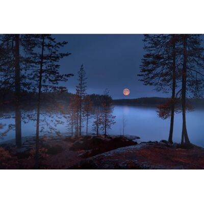 PAPERMOON Fototapete Photo-Art Nikki Georgieva V, Roter Mond Wandbild PAPERMOON Fototapete Photo-Art Nikki Georgieva V, Roter Mond Wandbild