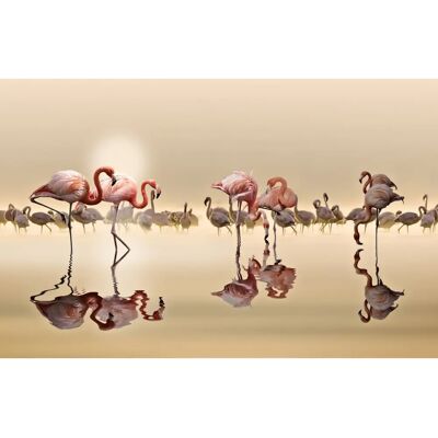 PAPERMOON NASSER OSMAN, FLAMINGOS Tapete - Foto-Kunst, Bunt, 3x2.23m PAPERMOON NASSER OSMAN, FLAMINGOS Tapete - Foto-Kunst, Bunt, 3x2.23m