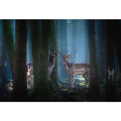 PAPERMOON Rehe Foto Kunst Bunt Wandbild - Wandbild PAPERMOON Rehe Foto Kunst Bunt Wandbild - Wandbild