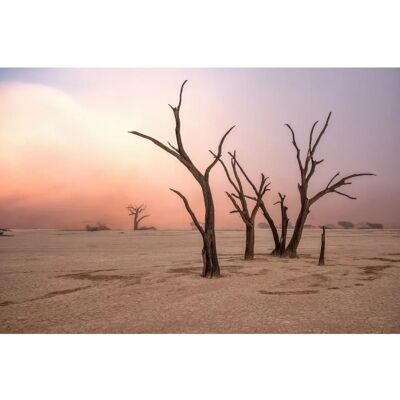 PAPERMOON Giuseppe Damico Bunte Fototapete - Photo-Art GIUSEPPE DAMICO, NEBEL IN DEADVLEI - Fototapete PAPERMOON Giuseppe Damico Bunte Fototapete - Photo-Art GIUSEPPE DAMICO, NEBEL IN DEADVLEI - Fototapete