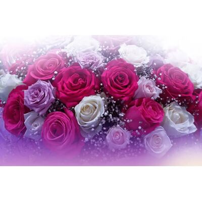 PAPERMOON Rosen-Flowers Abstrakte Kunst Wandbild - Wandbild PAPERMOON Rosen-Flowers Abstrakte Kunst Wandbild - Wandbild