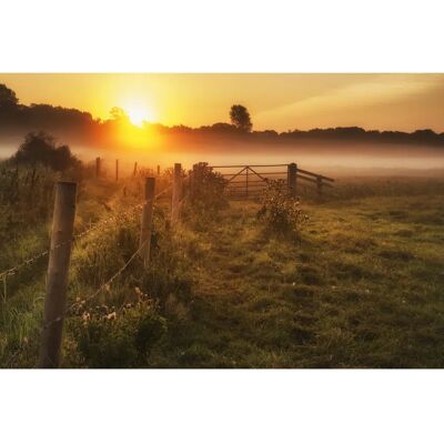 PAPERMOON Landschaft Sonnenuntergang Bäume Wald Nebel Wandbild - Wandbild PAPERMOON Landschaft Sonnenuntergang Bäume Wald Nebel Wandbild - Wandbild