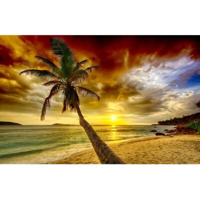 PAPERMOON Palm Beach Ocean XXL - Tapete PAPERMOON Palm Beach Ocean XXL - Tapete