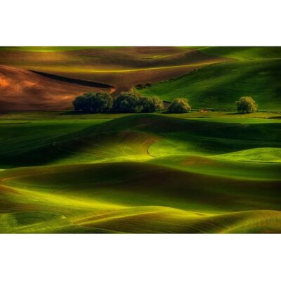 PAPERMOON Frühlings Landschaft Tapete - Photo-Art LYDIA JACOBS PAPERMOON Frühlings Landschaft Tapete - Photo-Art LYDIA JACOBS