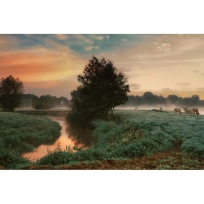 PAPERMOON Foto Kunst SASKIA DINGEMANS Nebeliger Traum Tapete - Tapete PAPERMOON Foto Kunst SASKIA DINGEMANS Nebeliger Traum Tapete - Tapete