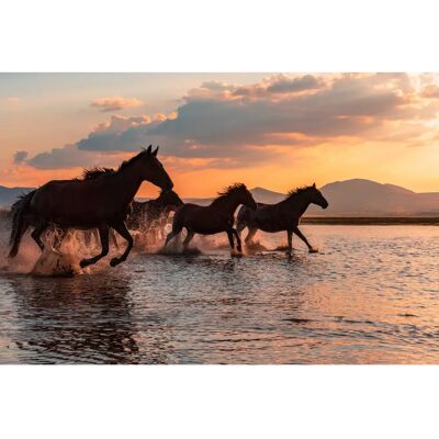 PAPERMOON BARKAN TEKDOGAN Wasserfarben Wandbild - Tapete PAPERMOON BARKAN TEKDOGAN Wasserfarben Wandbild - Tapete