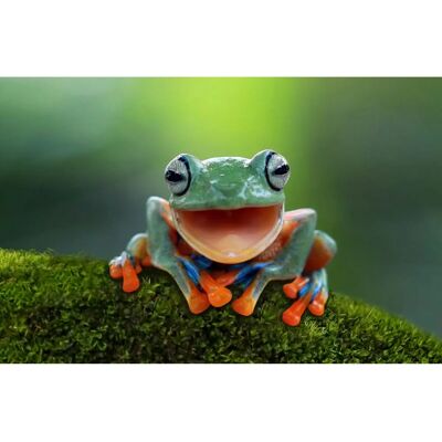 PAPERMOON Bunte Natur Tapete - Tapete PAPERMOON Bunte Natur Tapete - Tapete