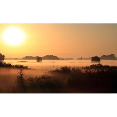 PAPERMOON Digital Wallpaper Sonnenuntergang Nebel Landschaft - Tapete PAPERMOON Digital Wallpaper Sonnenuntergang Nebel Landschaft - Tapete