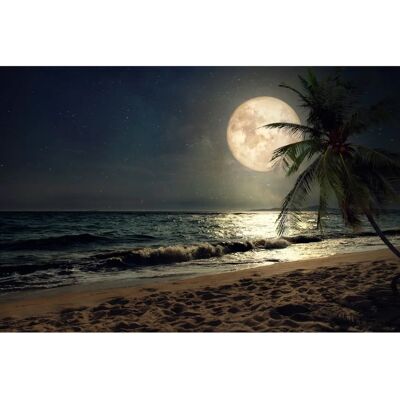 PAPERMOON Fototapete Strand-Natur Palmen Meer Dünen Mond Landschaft - Vliestapete PAPERMOON Fototapete Strand-Natur Palmen Meer Dünen Mond Landschaft - Vliestapete