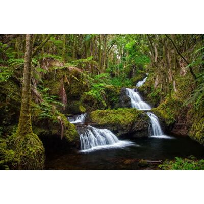 PAPERMOON Wandbild - Wasserfall Wald Natur - Bunt PAPERMOON Wandbild - Wasserfall Wald Natur - Bunt