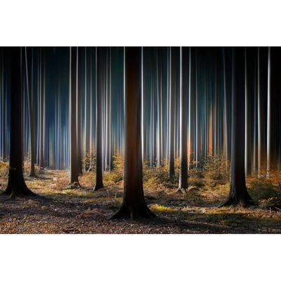 PAPERMOON Carsten Meyer-Dierks Mystischer Wald Wandbild - Wandbild PAPERMOON Carsten Meyer-Dierks Mystischer Wald Wandbild - Wandbild