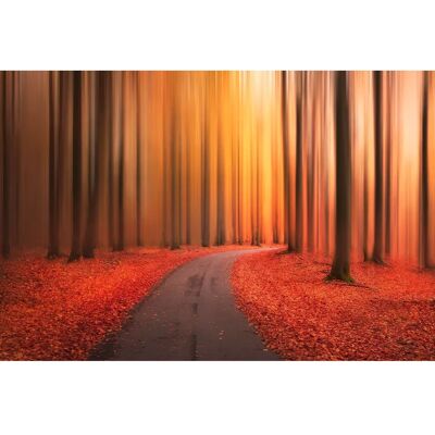 PAPERMOON Christian Lindsten Landschaft Wandbild - Wandbild PAPERMOON Christian Lindsten Landschaft Wandbild - Wandbild