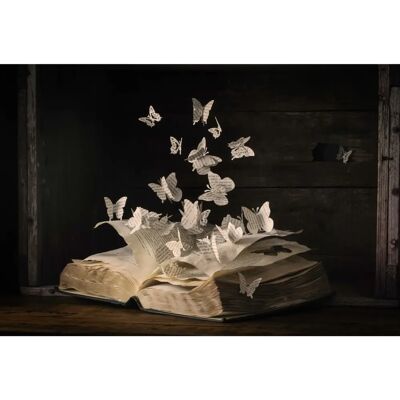 PAPERMOON Fototapete HEATHER BONADIO - bunt, 5m x 2,8m, bunt PAPERMOON Fototapete HEATHER BONADIO - bunt, 5m x 2,8m, bunt