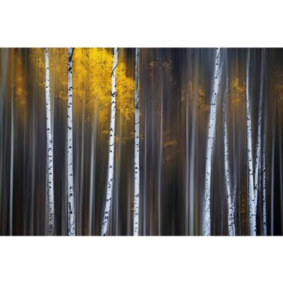 PAPERMOON - Photo-Art ANDY HU - 2,00 m x 1,49 m - Wallpaper PAPERMOON - Photo-Art ANDY HU - 2,00 m x 1,49 m - Wallpaper