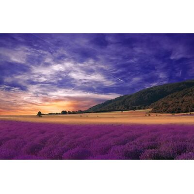 PAPERMOON Violett Landschaft Panorama Tapete - Tapete PAPERMOON Violett Landschaft Panorama Tapete - Tapete