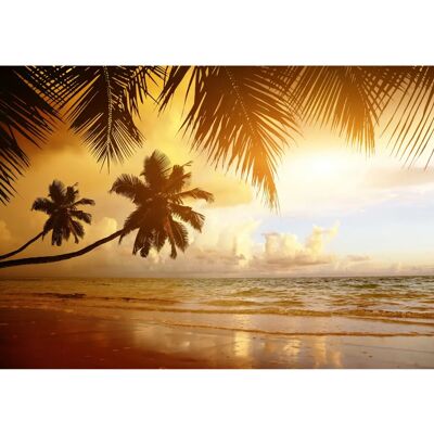 PAPERMOON Tropische Wandbild - Palm Strand Meer Dekor PAPERMOON Tropische Wandbild - Palm Strand Meer Dekor