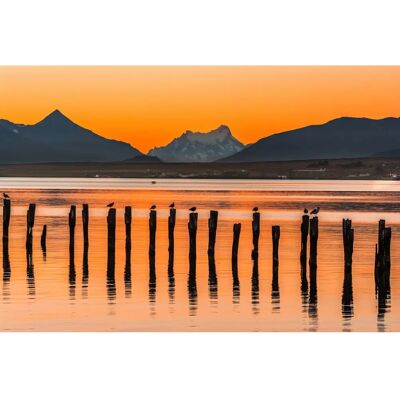 PAPERMOON Puerto Natales Chile Meer Berge Blumen Sonne Wandbild - Wandbild PAPERMOON Puerto Natales Chile Meer Berge Blumen Sonne Wandbild - Wandbild