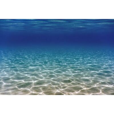 PAPERMOON Unterwasser-Welt Tapete - Bunt - 4,5x2,8m - Tapete PAPERMOON Unterwasser-Welt Tapete - Bunt - 4,5x2,8m - Tapete