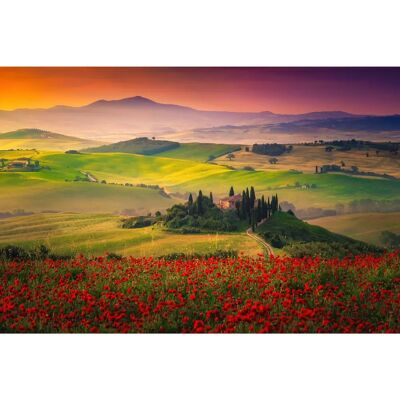 PAPERMOON Digitaldruck Tapete - Panorama-Landschaft Dorf Wiese Nebel Berge Sonne Wald - bunt 4,50m x 2,80m PAPERMOON Digitaldruck Tapete - Panorama-Landschaft Dorf Wiese Nebel Berge Sonne Wald - bunt 4,50m x 2,80m