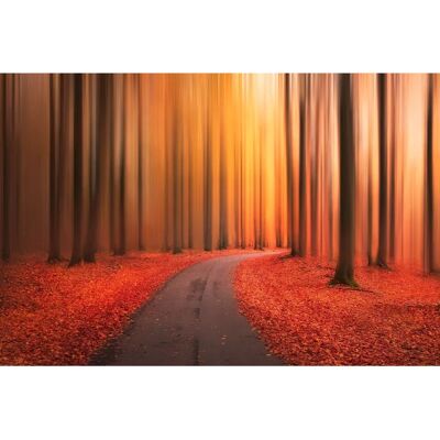 PAPERMOON Christian Lindsten Landschaft Wandbehang - Wandbehang PAPERMOON Christian Lindsten Landschaft Wandbehang - Wandbehang