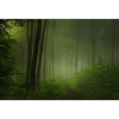 PAPERMOON Bunte Landschaft Wandbild - Tapete PAPERMOON Bunte Landschaft Wandbild - Tapete