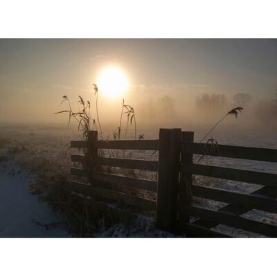 PAPIERMOON Winter Landschaft Foto-Kunst ALIDA VAN ZAANE Tapete - Wandtapete PAPIERMOON Winter Landschaft Foto-Kunst ALIDA VAN ZAANE Tapete - Wandtapete