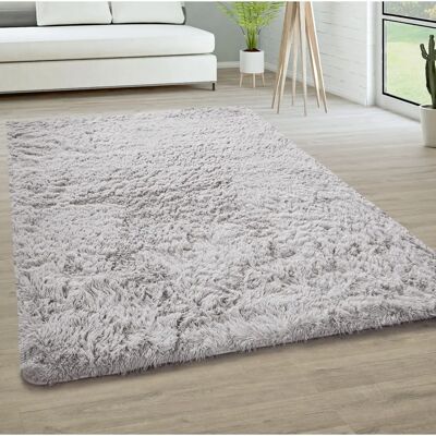 PACO HOME - Tappeto Shaggy a Pelo Lungo - 60x100 cm - Argento PACO HOME - Tappeto Shaggy a Pelo Lungo - 60x100 cm - Argento