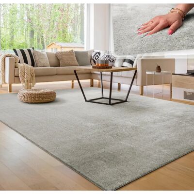 Tappeto Paco Home Argento - Pelo corto monocromatico per soggiorno Tappeto Paco Home Argento - Pelo corto monocromatico per soggiorno