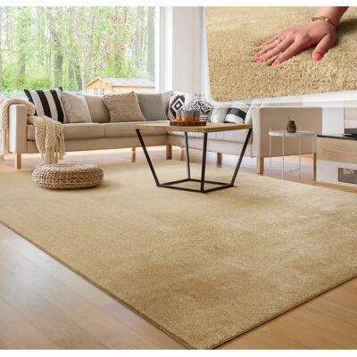 Alfombra Beige Paco Home - 300x400 cm - Lavable, Pelo Corto, Suave Alfombra Beige Paco Home - 300x400 cm - Lavable, Pelo Corto, Suave