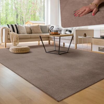 Alfombra Taupe de Paco Home - Pelo Corto, Lavable, Suave, 160x220cm - Alfombra Alfombra Taupe de Paco Home - Pelo Corto, Lavable, Suave, 160x220cm - Alfombra
