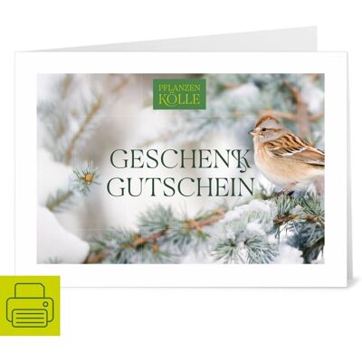Pflanzen-Kölle - Gutschein-Weihnachten - Zum Ausdrucken - Gift Card Pflanzen-Kölle - Gutschein-Weihnachten - Zum Ausdrucken - Gift Card