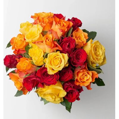 Pflanzen-Kölle - Rosenbund 25er Mix RotGelb - Gemischte Rosen - Blumenstrauß Pflanzen-Kölle - Rosenbund 25er Mix RotGelb - Gemischte Rosen - Blumenstrauß