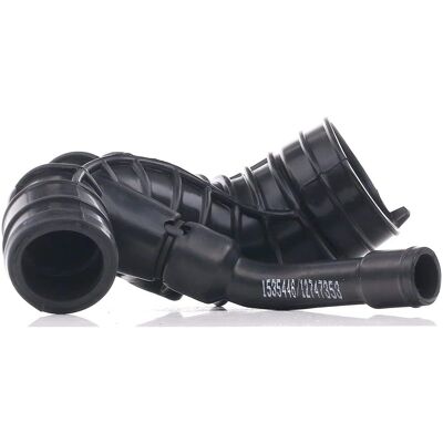 RIDEX Filtro aria per Ford, Peugeot, Citroën - 1591I0098 RIDEX Filtro aria per Ford, Peugeot, Citroën - 1591I0098