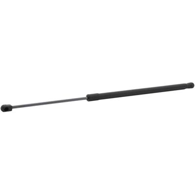 RIDEX Ford S-Max Mk1 - Ammortizzatore cofano idraulico 670N 604,5mm RIDEX Ford S-Max Mk1 - Ammortizzatore cofano idraulico 670N 604,5mm