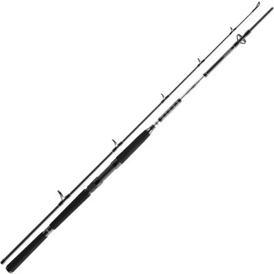 Daiwa BG Bateau 2,1m 150-400g - Canne à Pêche - Publicité Daiwa BG Bateau 2,1m 150-400g - Canne à Pêche - Publicité