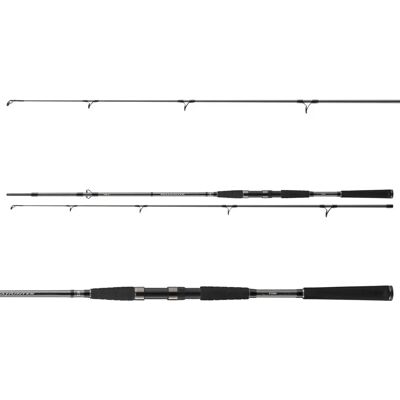 Daiwa Seahunter X 2,40m 100-200g - Angelrute Daiwa Seahunter X 2,40m 100-200g - Angelrute