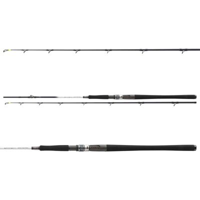 Daiwa Grandwave BC - 2,25 m Schnelle Aktion - Angelrute Daiwa Grandwave BC - 2,25 m Schnelle Aktion - Angelrute