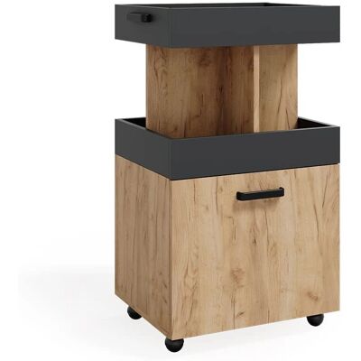 Mueble móvil Kamber - 50x88.6cm - Caramelo y Antracita - Vicco Mueble móvil Kamber - 50x88.6cm - Caramelo y Antracita - Vicco