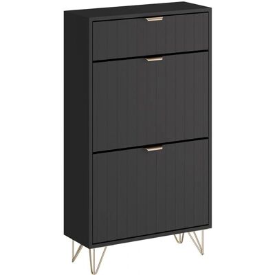 Vichy Helge Armoire à Chaussures - 2 Compartiments - Noir - Publicité Vichy Helge Armoire à Chaussures - 2 Compartiments - Noir - Publicité