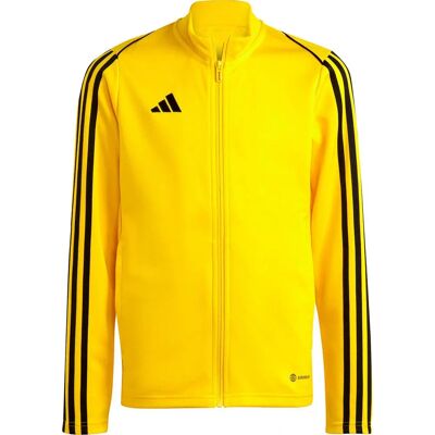 Adidas Tiro 23 Ligue-Training JR IC7874 Pullover Ajusté Jaune - Entraînement - Publicité Adidas Tiro 23 Ligue-Training JR IC7874 Pullover Ajusté Jaune - Entraînement - Publicité