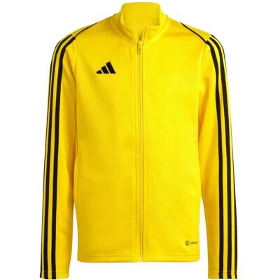 Adidas Tiro 23 League Training Jugend Gelb Sweatshirt - Training Sweatshirt Adidas Tiro 23 League Training Jugend Gelb Sweatshirt - Training Sweatshirt