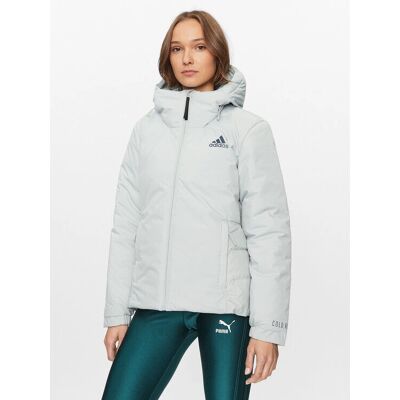 Μπουφάν adidas Traveer COLD.RDY - Ασημί - Αδιάβροχο, Θερμαντικό, Ελαφρύ Μπουφάν adidas Traveer COLD.RDY - Ασημί - Αδιάβροχο, Θερμαντικό, Ελαφρύ