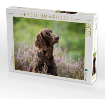 Calvendo - 1000pc Animals Puzzle - Dieren - 1000pc - Puzzle Calvendo - 1000pc Animals Puzzle - Dieren - 1000pc - Puzzle